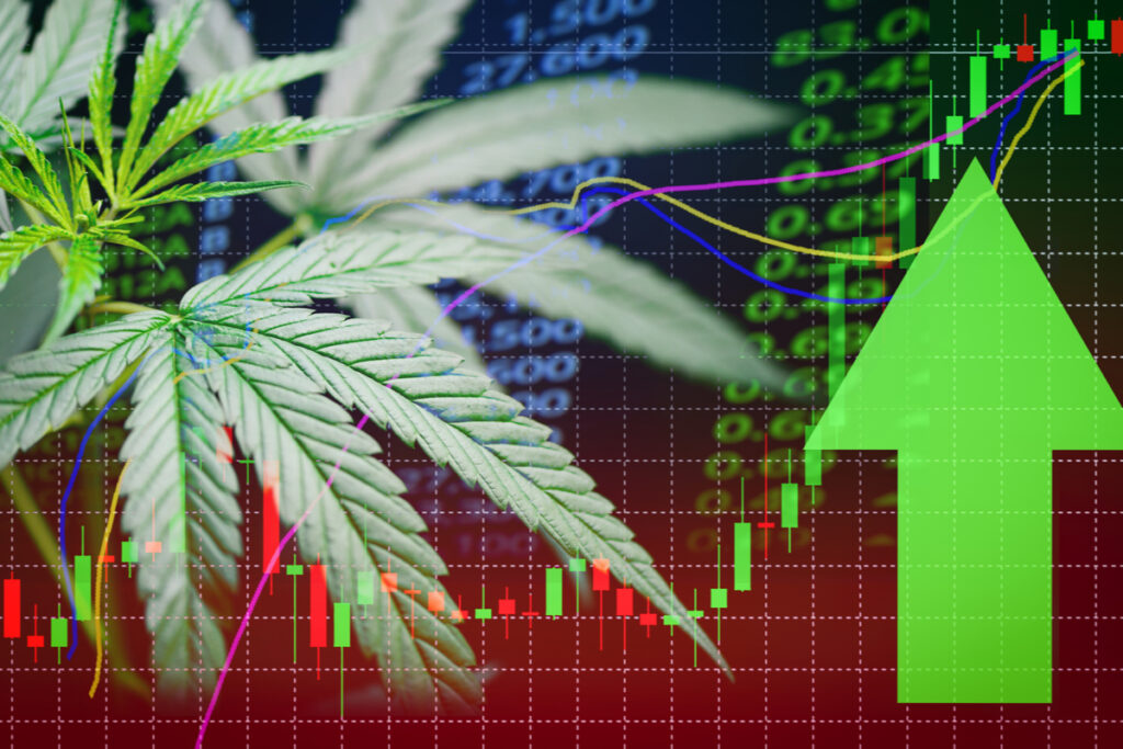 Hemp and CBD Markets Declining-CBD News-CBDToday