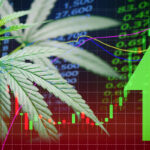 Hemp, CBD Markets Already Declining Hemp and CBD Markets Declining-CBD News-CBDToday