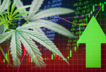 Hemp, CBD Markets Already Declining Hemp and CBD Markets Declining-CBD News-CBDToday