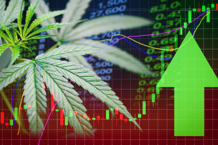 Hemp and CBD Markets Declining-CBD News-CBDToday