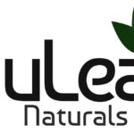 NuLeaf Naturals Launches Full Spectrum Delta 8 THC, CBN, CBC, CBG Products NuLeaf-Naturals-logo-CBD-CBDToday