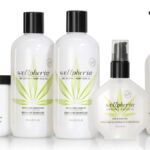 Zotos Professional Launches CBD and Hemp Seed Oil-infused Wellphoria Brand Zotos Professional-Wellphoria-press release-CBD-CBDToday