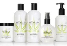 Zotos Professional Launches CBD and Hemp Seed Oil-infused Wellphoria Brand Zotos Professional-Wellphoria-press release-CBD-CBDToday