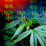 Per-milligram Pricing Disparity Fuels CBD Consumer Confusion Per-milligram Pricing Disparity Report-CBD Validator-CBDToday