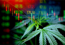 Per-milligram Pricing Disparity Fuels CBD Consumer Confusion Per-milligram Pricing Disparity Report-CBD Validator-CBDToday