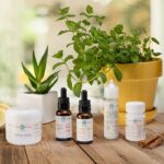 The Evolution of Auntie Dolores Auntie Dolores New Product Line-CBD products-CBDToday