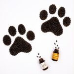 Bluebird Botanicals Companion Capsules Bluebird Botanicals Companion Capsules-CBD products-CBDToday