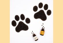 Bluebird Botanicals Companion Capsules Bluebird Botanicals Companion Capsules-CBD products-CBDToday