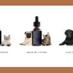 Canna River Pet Tincture Canna River Pet Tincture-CBD products-Pet products-CBDToday