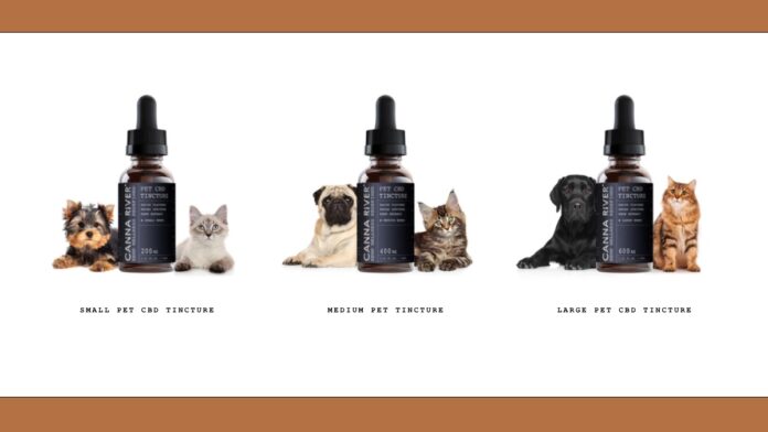 Canna River Pet Tincture-CBD products-Pet products-CBDToday