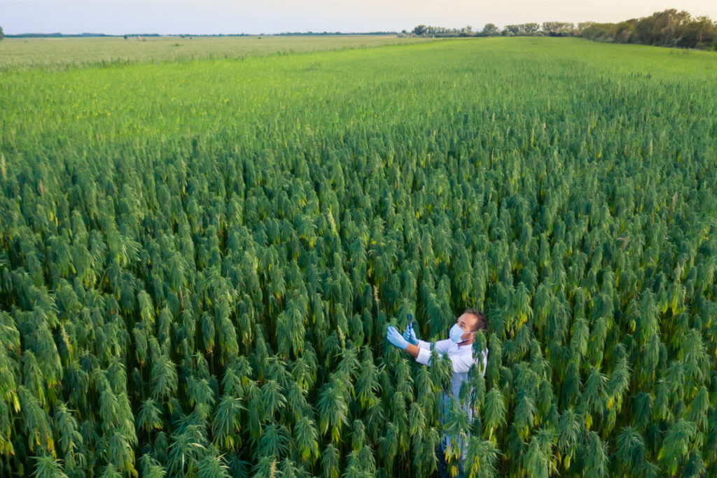 Congress Approves Funding to Extend Federal Hemp Pilot Program-CBD news-CBDToday