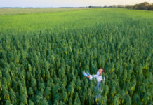 Congress Approves Funding to Extend Federal Hemp Pilot Program Congress Approves Funding to Extend Federal Hemp Pilot Program-CBD news-CBDToday