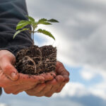 Hemp Industry Members File Suit Over DEA Regulatory Overreach Hemp Industry Members File Suit Over DEA Regulatory Overreach-CBD news-CBDToday