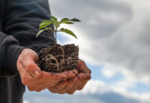 Hemp Industry Members File Suit Over DEA Regulatory Overreach Hemp Industry Members File Suit Over DEA Regulatory Overreach-CBD news-CBDToday