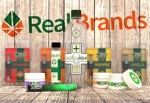 Real Brands Inc. Completes Merger with Canadian American Standard Hemp Inc. Real Brands Inc-press release-CBD-CBDToday