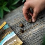 Charlotte’s Web Canine Chews Charlotte's Web Canine Chews-CBD products-CBDToday