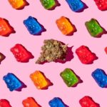 Exploring Market Opportunity for Fast-Acting Infused Gummies Exploring Market Opportunity for Fast-Acting Infused Gummies-Austin Stevenson-Vertosa-CBD products-CBDToday