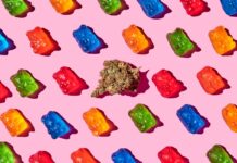 Exploring Market Opportunity for Fast-Acting Infused Gummies Exploring Market Opportunity for Fast-Acting Infused Gummies-Austin Stevenson-Vertosa-CBD products-CBDToday