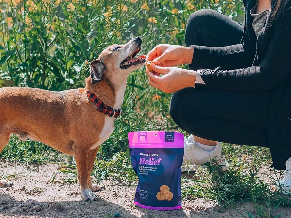 Honest Paws Pet Bites-CBD products-CBDToday