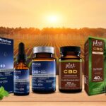 The Vitamin Shoppe Launches Extensive Range of CBD Hemp Extract Products The-Vitamin-Shoppe-Launches-Extensive-Range-of-CBD-Hemp-Extract-Products-press-release-CBD-products-CBDToday