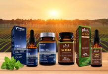 The Vitamin Shoppe Launches Extensive Range of CBD Hemp Extract Products The-Vitamin-Shoppe-Launches-Extensive-Range-of-CBD-Hemp-Extract-Products-press-release-CBD-products-CBDToday