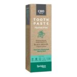 SprinJene CBD Toothpaste Hits Shelves in United States SprinJene-CBD-Toothpaste-press-release-CBDToday