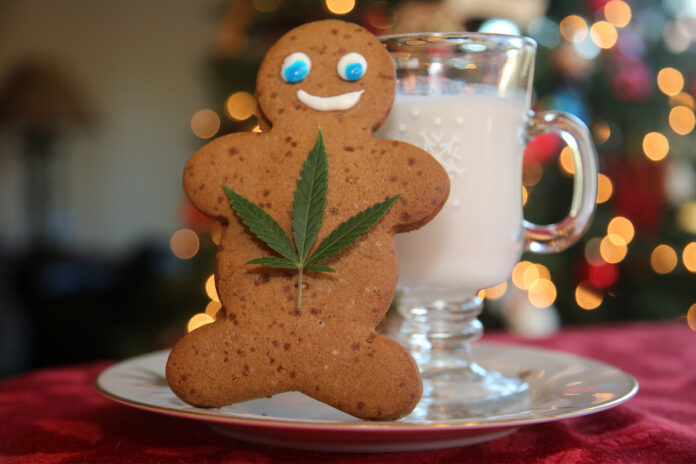 Stay Chill with Gift-Worthy CBD Products This Holiday Season-CBD products-CBDToday