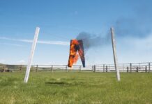 Donald Trump’s Legacy of Lying Will Have Lasting Effects Donald Trump's Legacy of Lying Will Have Lasting Effects-Randall Huft-CBD news-CBDToday