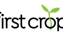 Susan Love Foundation for Breast Cancer Research Partners with First Crop First Crop-logo-CBD-CBDToday