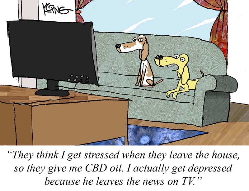 Jerry-King-cartoonist-February-2021-hemp-cartoon-CBD-CBDToday