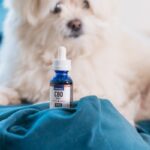 CBDistillery Pet Tincture CBDistillery Pet Tincture-CBD products-CBDToday