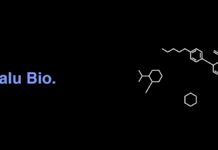 Nalu Bio Partners with Global Chemical Manufacturer Nalu Bio-logo-CBD-CBDToday