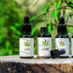 5 Things Every CBD Product Retailer Must Understand 5 Things Every CBD Product Retailer Must Understand-CBD products-CBDToday