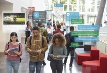 CBD Marketing 101: Meet Your Audience Where They Socialize CBD Marketing 101 Meet Your Audience Where They Socialize-Nic Shafer-CBD news-CBDToday