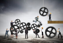 Human Resources Advice for Launching and Scaling Up Human resources teamwork Sergey-Nivens CBD Today