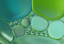 Nanoemulsions Explained Nanoemulsions explained CBD Today