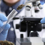 The Importance of Finding Trusted Partners in the CBD Supply Chain Hemp CBD lab testing CBD Today