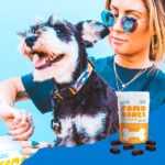 FOMO Bones Named “Best CBD For Dog Anxiety” by Great Pet Care Fomo Bones hero image mg Magazine mgretailler