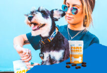 FOMO Bones Named “Best CBD For Dog Anxiety” by Great Pet Care Fomo Bones hero image mg Magazine mgretailler