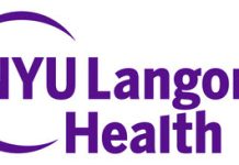 Study Reveals How CBD Counters Epileptic Seizures