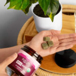 Sunsoil Names Lucinda Alcorn Vice President of Sales